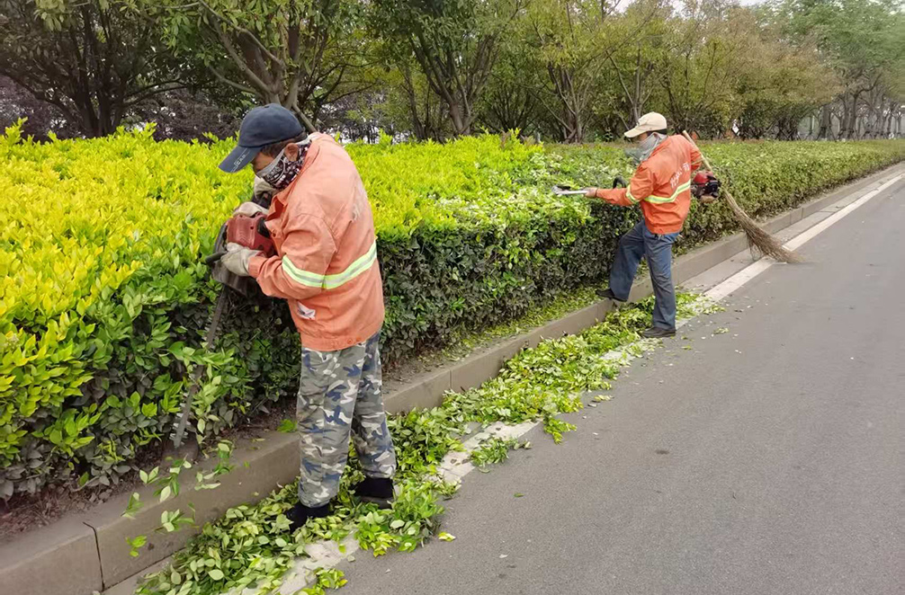 2c65d3970f390da8bbae31e8c0b1bb2d